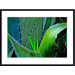 Grass and Cactus Metal Framed Art Print