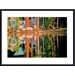Reflections Metal Framed Art Print