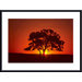 Sunset and Oak Metal Framed Art Print