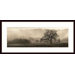 Meadow Oak Tree Wood Framed Art Print