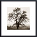 Country Oak Tree Metal Framed Art Print