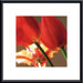 Soiree III Metal Framed Art Print