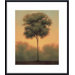 Solitude IV Metal Framed Art Print