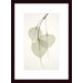 Bo Tree by Albert Koetsier Wood Framed Art Print