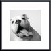 Luca Metal Framed Art Print