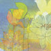Lily Shadows Gallery Wrapped Canvas Art