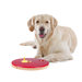 Roulette Wheel Dog Activity Game