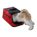 Air In-Cabin Pet Carrier in Strawberry Red