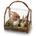 Bunny Coop