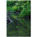 Wild Iris Reflections by Kurt Shaffer, Canvas Art - 24" x 16"