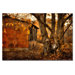 Autumn on the Farm by Lois Bryan, Canvas Art - 22"  x 32"