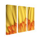 Flame, by Aiana, Canvas Art (Set of 3) - 24" x 8"