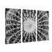 Barrel Cactus by Kurt Shaffer, Canvas Art (Set of 3) - 32" x 14"