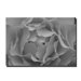 Hypnotic Yellow Rose by Kurt Shaffer, Canvas Art - 22" x 32"