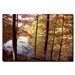 A Secret Pond by Kurt Shaffer, Canvas Art - 18" x 24"