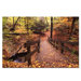Autumn Bridge by Kurt Shaffer, Canvas Art - 16" x 24"