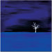Solo Act by Nicole Dietz, Canvas Art - 24" x 24"