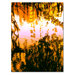 Ducks in Morning Light by Amy Vangsgard, Canvas Art - 24" x 18"