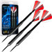 TGT Steel Tip Dart with Case