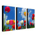 Heaven by Cat Eyes Canvas Art (Set of 3)