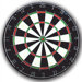 Classic Bristle Dartboard