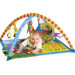 Gymini Super Deluxe Light and Music Activity Gym