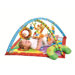Gymini Monkey Isle Activity Gym