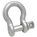 Screw Pin Anchor Shackle Clevis