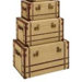 Travel Steamer Trunk (Set of 3)
