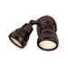 2 Light Floodlight