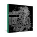 CityFabric Inc San Francisco Gallery Wrapped Canvas