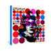 Randi Antonsen Poster Heroins 6 Gallery Wrapped Canvas