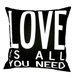 Love is All You Need Pillow