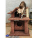 Pagoda Cat House