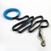 Dog Leash