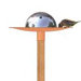 Design Bird Bath on Stick