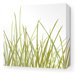 Summer Grass Stretched Wall Art