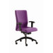 Adept Executive Chair with Height Adjustable
