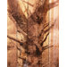 Still Standing Wall Art