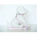Classic 3/4" Dog Leash