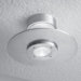Alume 1 Light Wall/ Ceiling Mount Light