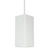 Timor 1 Light Pendant