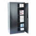 72" High Standard Cabinet, 36W X 18D X 72H