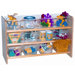 See-All Storage Unit