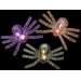 Spider Creepy Light Set