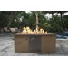 Natural Gas Fireplace