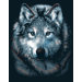Wolves Scraperfoil