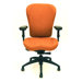 High-Back Eclipse Executive Chair with Arms