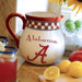NCAA Gameday Pitcher