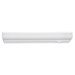 1 Light Undercabinet Light